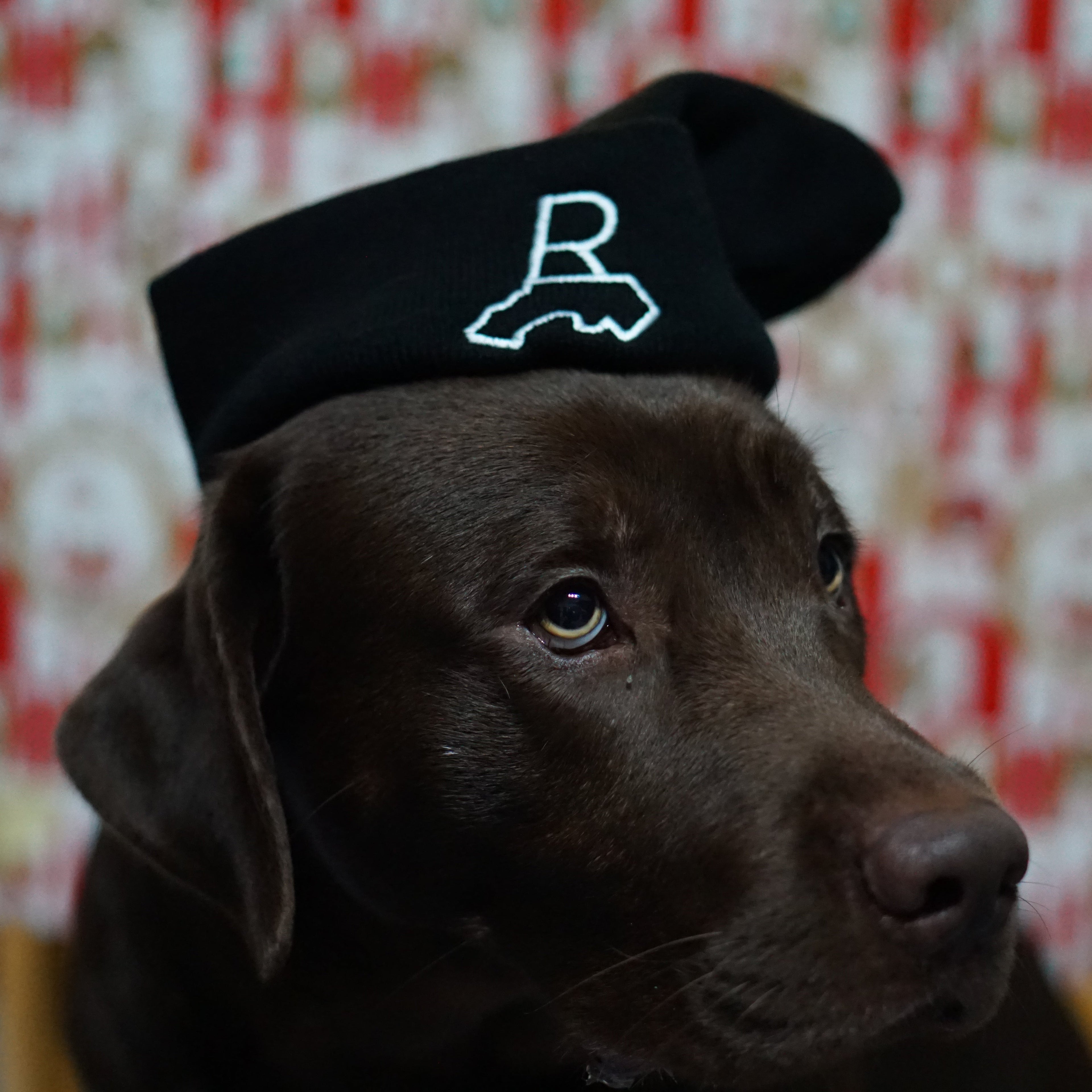 Randbezirk  Beanie Hat