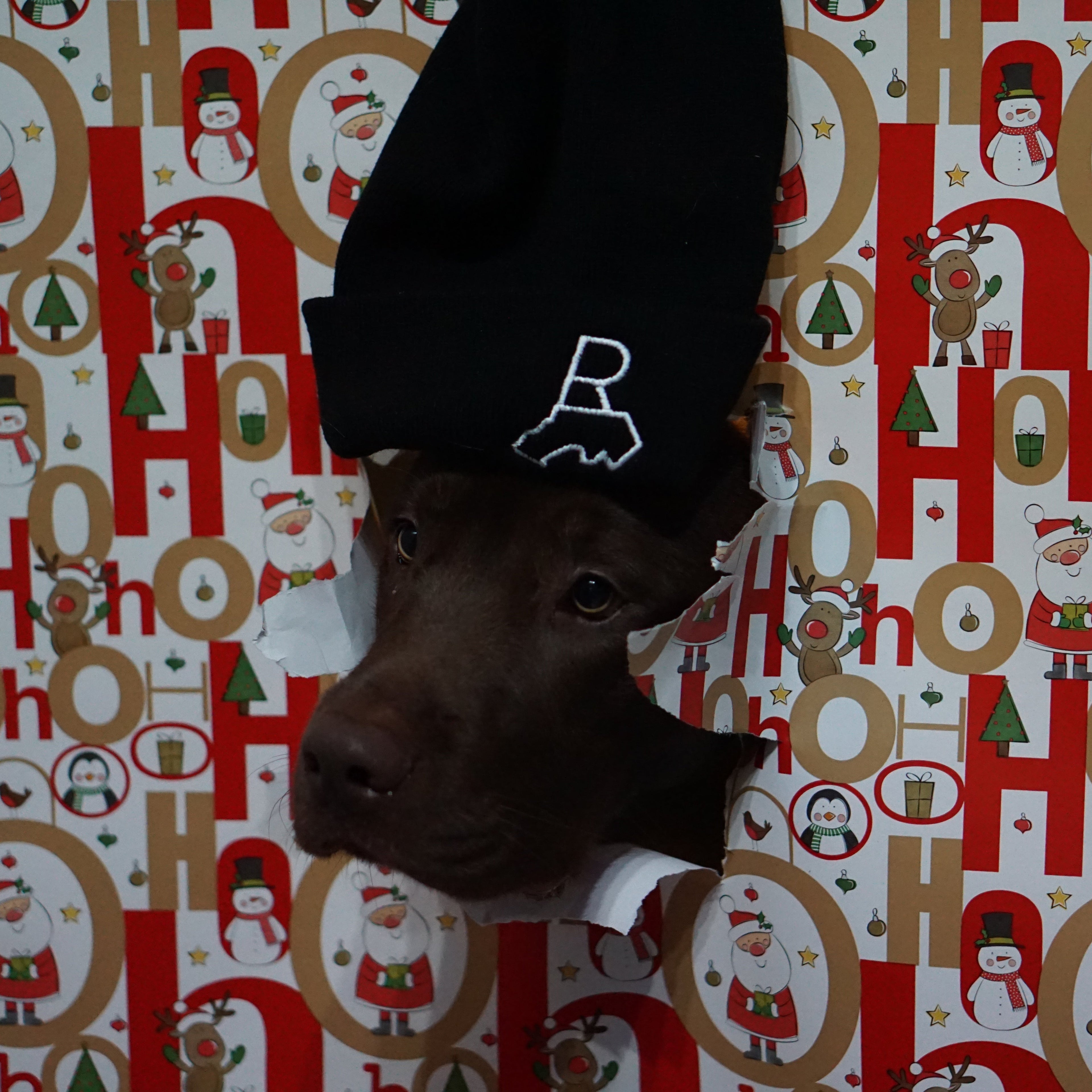 Randbezirk  Beanie Hat