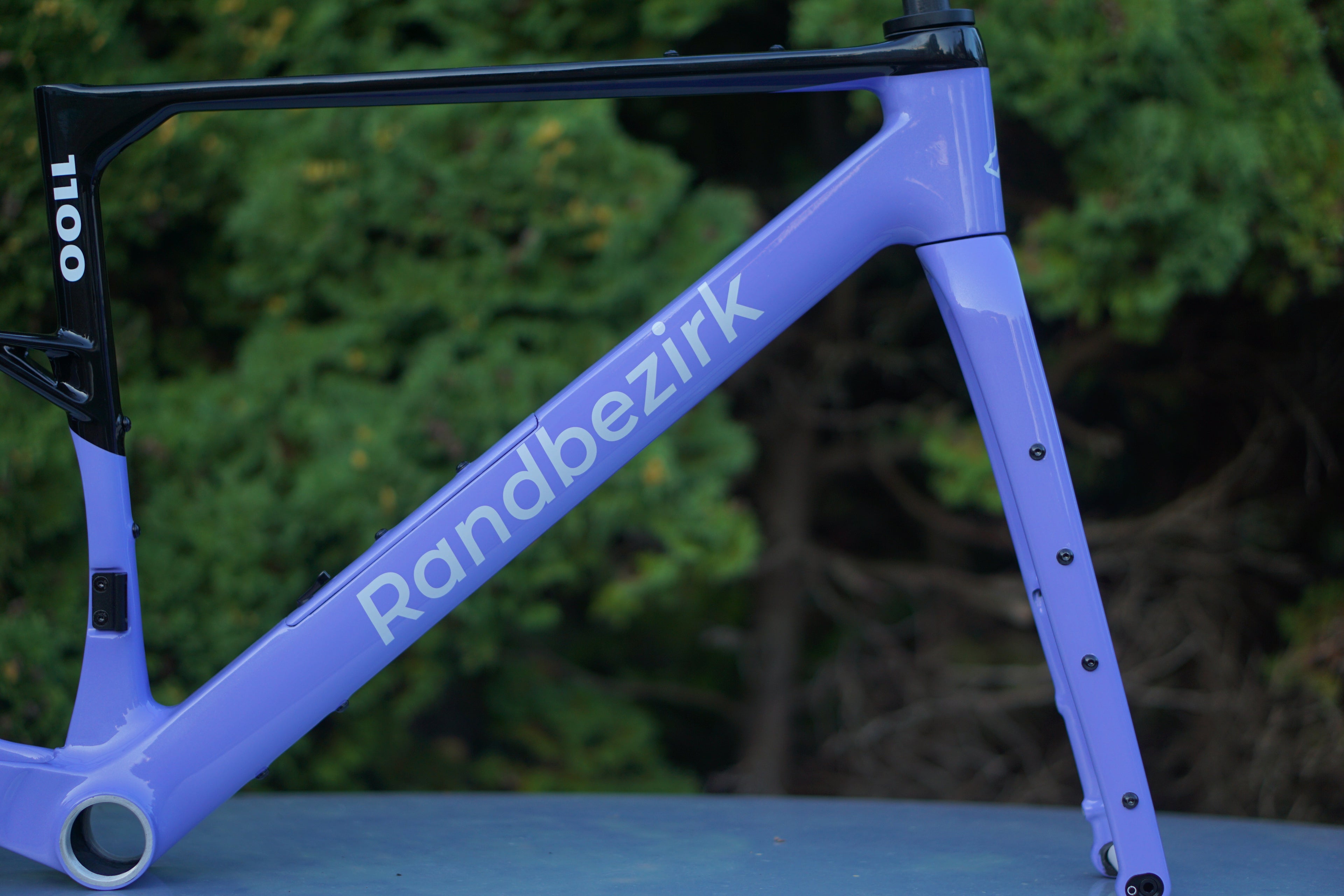 Randbezirk 1100
